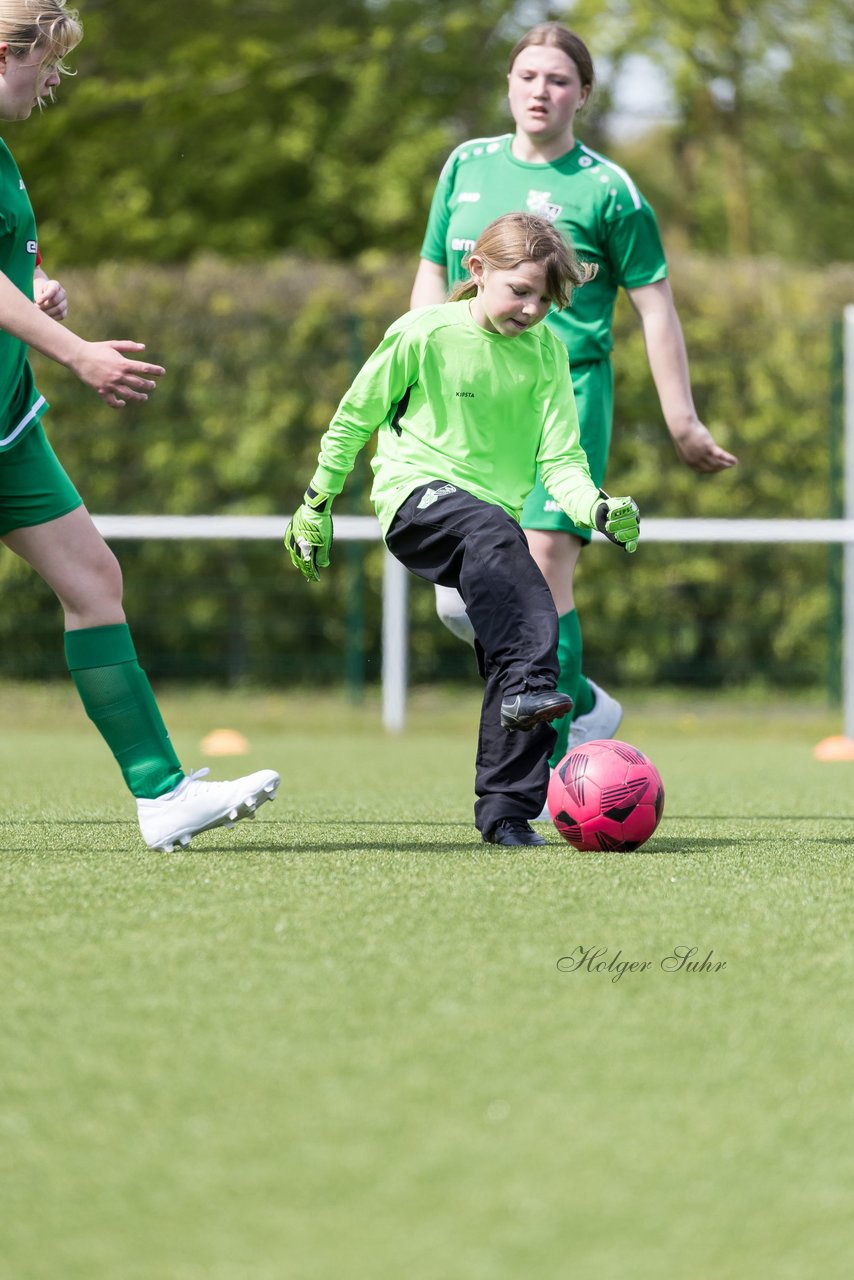 Bild 196 - wBJ SV Wahlstedt - TSV Wentorf-Dandesneben : Ergebnis: 7:1